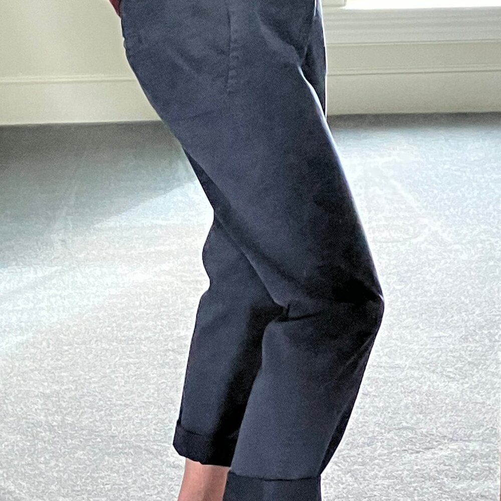 Banana Republic Skinny City Chino Pants 2P